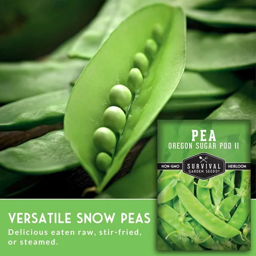 Miniatura 5 de Oregon Sugar Pod II - Semillas de guisantes de nieve para plantar, vainas comestibles crujientes, guisantes de nieve estilo broche de azúcar de alto