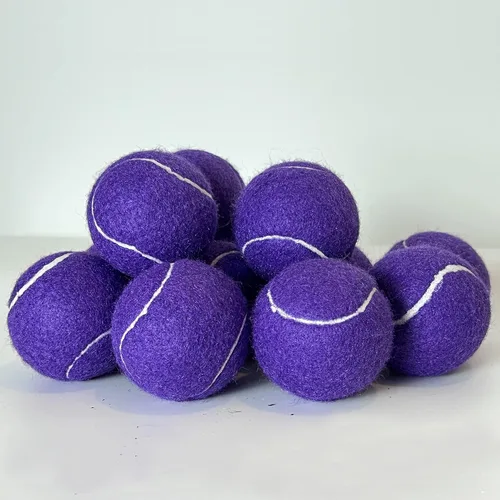 Miniatura 3 de Pelotas de tenis, paquete de 12 pelotas de tenis de práctica avanzada para principiantes, pelotas de tenis de entrenamiento para perros y mascotas