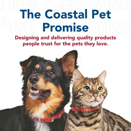 Miniatura 9 de Coastal Pet Walk Right - Arnés acolchado para perro con conexión frontal y sin tirones, ajustable y cómodo, ajuste para razas pequeñas y grandes