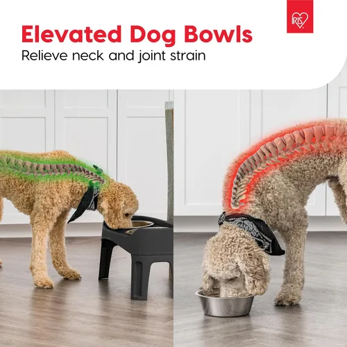 Miniatura 7 de IRIS USA Cuencos elevados para perros, soporte ajustable, estación de alimentación elevada con 2 cuencos de acero inoxidable de 64 onzas, protector