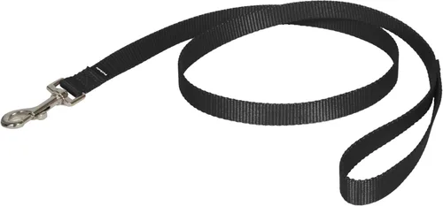 PetSafe Correa de nailon para perro fuerte, duradera, estilo tradicional con broche de perno fácil de usar para perros pequeños, medianos y grandes