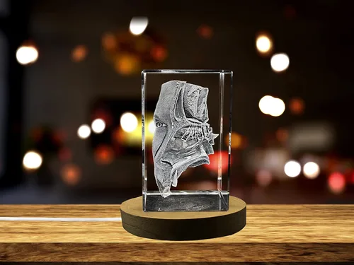 Miniatura 32 de Regalo para médicos 3D grabado en cristal recuerdo/regalo/decoración/(pequeño (3 x 2 x 2 pulgadas), arterias)