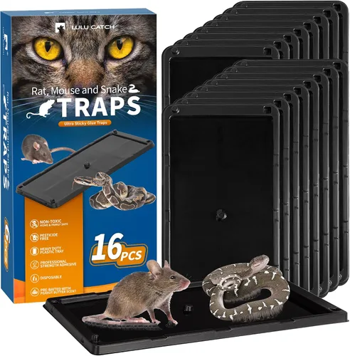 Miniatura 12 de LULUCATCH, trampas para ratones, 6 unidades de trampas grandes de pegamento para interiores para el hogar, tablas de pegamento a granel pre-cebadas