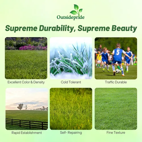 Outsidepride Supreme Kentucky Bluegrass Seed Mix – 10 libras tolerante al frío, césped de textura fina con revestimiento OptiGrowth para mejorar las