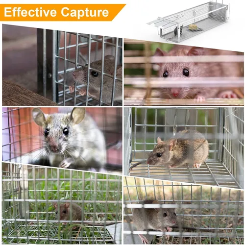 Miniatura 8 de TeqHome Trampa de jaula humana para ratas de 2 puertas, jaula de metal para animales vivos, pequeñas jaulas para roedores de liberación de capturas