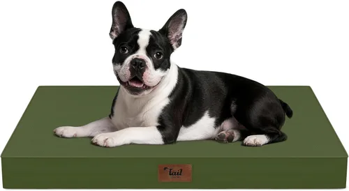 Miniatura 86 de Cama ortopédica de felpa para perros y cachorros medianos, camas impermeables para perros de 30 x 20 pulgadas con funda extraíble lavable, tapete