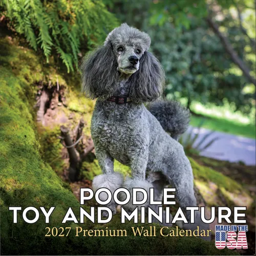 Miniatura 127 de Calendario amarillo 2025 2026 de Labrador Pups – Calendario mensual de pared de raza de perro – 12" x 24" abierto – Papel grueso anti-traspaso