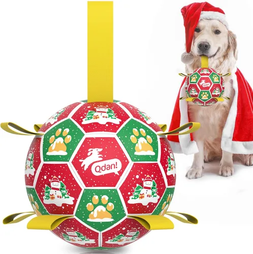 Miniatura 15 de QDAN Juguetes para perros, pelota de fútbol extragrande con correas, juguete de remolcador, juguete de agua, bolas duraderas para perros