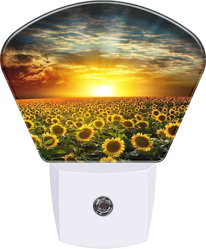 Miniatura 20 de Luz nocturna abstracta para el sol, enchufable, LED, sensor de atardecer a amanecer, lámpara de noche suave, adecuada para el hogar, dormitorio
