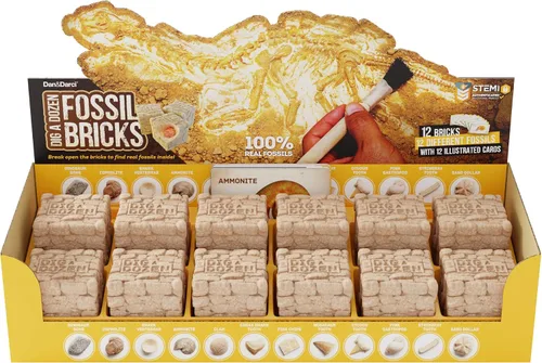 Miniatura 6 de Dan&Darci Excava una Docena de Ladrillos Fósiles - Rompe 12 Bloques y Descubre 12 Fósiles Reales Únicos - Rellenos para Cestas Arqueología Ciencia
