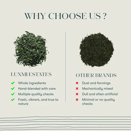 Miniatura 4 de LUXMI Estates - Té verde Sencha japonés - 50g (25 tazas) Té auténtico Sencha japonés de First Leaves Té premium suave, rico y refrescante