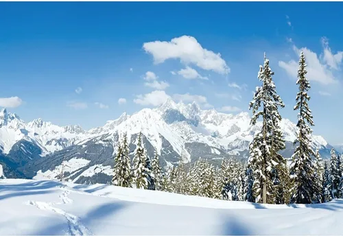 Miniatura 4 de Renaiss Telón de fondo de paisaje de nieve de invierno de 5 x 3 pies, montañas nevadas, pinos cubiertos de bosque, campo de nieve, paisaje natural