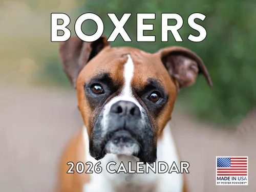 Miniatura 205 de Calendario de pared mensual 2025 Great Dane de 12 meses, fabricado en Estados Unidos