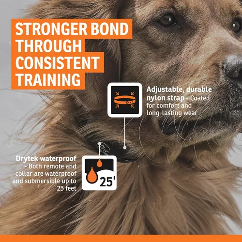 Miniatura 5 de SportDOG Sistema de valla recargable de marca en el suelo, impermeable, collar recargable con tono, vibración y estática, expandible para contener