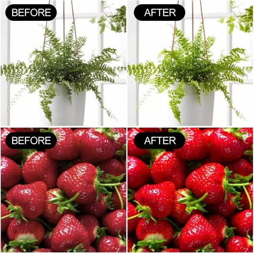 Miniatura 6 de Paquete de 2 bombillas LED de cultivo A19, bombilla de espectro completo para plantas, bombilla de cultivo E26 de 9 W que reemplaza hasta 80 W, luz