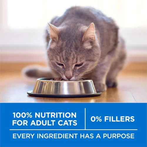 Miniatura 7 de Purina ONE Plus - Alimento para gatos con alto contenido de proteínas, salmón seco y pescado blanco del océano, fórmula para la salud de la piel