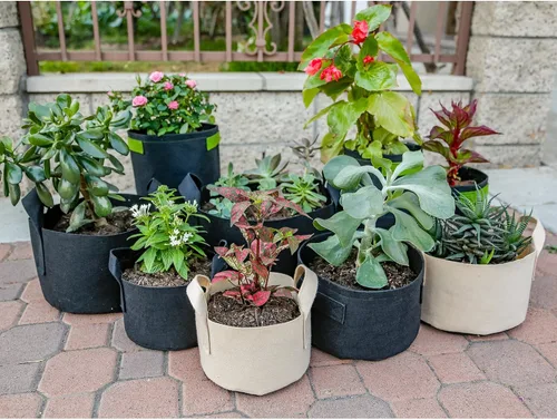 Miniatura 6 de 247Garden Paquete de 2 bolsas de cultivo de 200 galones/macetas de tela de aireación con asas (300 GSM, negro, 24A x 50D)