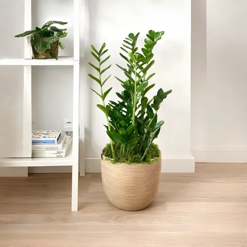 Miniatura 2 de Musgo falso para plantas de interior, paquete de 7 onzas, césped artificial para manualidades, arreglos florales y plantas en maceta, alternativa
