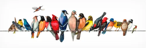 Miniatura 2 de Wendy Russell - Lienzo decorativo para pared, diseño de "Big Bird Menagerie II", para sala de estar, dormitorio u oficina, 6 x 19 pulgadas