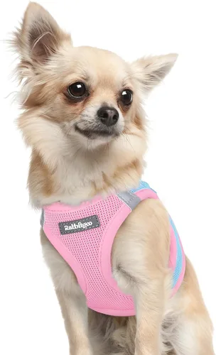 Miniatura 131 de rabbitgoo Arnés para perro pequeño, chaleco de malla suave para cachorros con hebilla de seguridad, arnés reflectante transpirable para mascotas