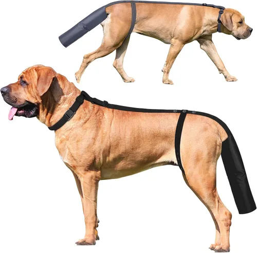 2 fundas protectoras de cola de perro para heridas, colas de perros curan manga, cuidado de heridas de perro para perros medianos y grandes para