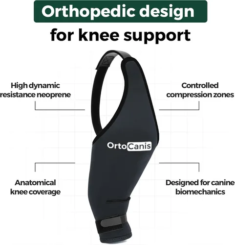 Miniatura 7 de Ortocanis Rodillera para Perro para Desgarro de LCA en Pata Trasera, Lesiones de Ligamento Cruzado, Dislocación de Rótula u Osteoartritis