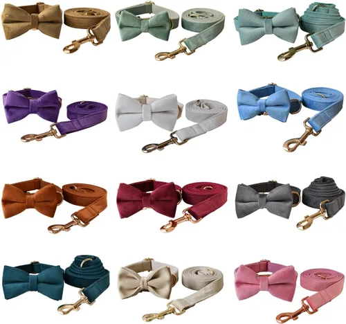 Miniatura 3 de Collar para perro personalizado con hebilla metálica - Collares para mascotas personalizados con nombre y número de teléfono (Estilo Terciopelo1)