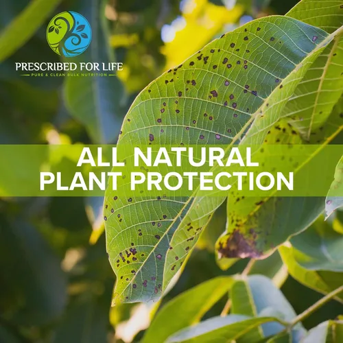 Miniatura 5 de Prescribed for Life Polvo de bicarbonato de potasio, USP puro y bicarbonato de potasio de grado alimenticio para plantas, vinificación y horneado