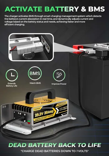 Miniatura 5 de Cargador de batería de litio LiFePO4 de 29.2V 30A diseñado para batería LiFePO4 de 24V, con múltiples protecciones de seguridad, admite función