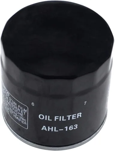 Miniatura 2 de AHL 163 - Filtro de aceite para BMW R850C Euro 850 2000 2001