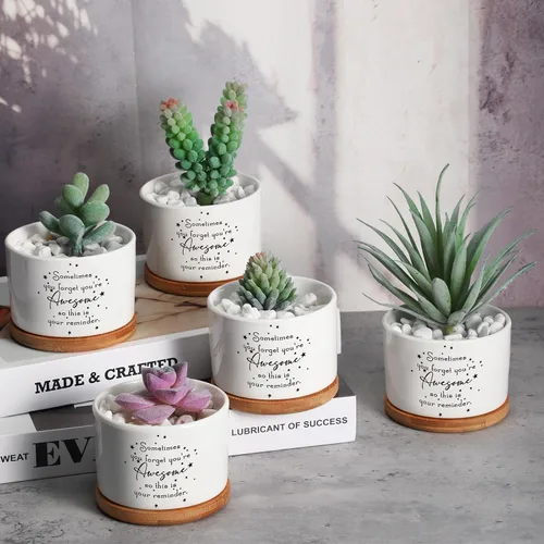 Miniatura 5 de 12 macetas inspiradoras para suculentas, regalo de agradecimiento a granel para mujeres, empleadas, profesores, compañeras de trabajo, Sometimes You