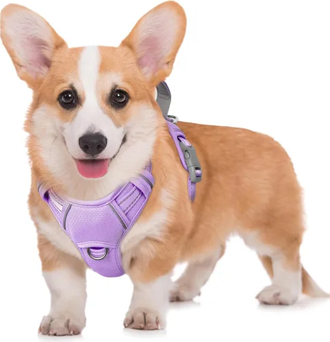 Miniatura 91 de BARKBAY Arnés para Perro Sin Tirones Talla Grande Arnés Reflectante para Perro con Clip Frontal y Asa de Control Fácil para Caminar Entrenar Correr