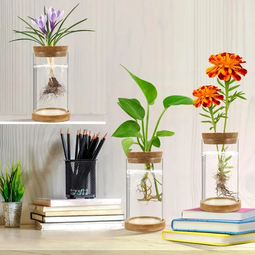 Miniatura 6 de Estaciones de propagación de plantas, paquete de 3 terrarios de plantas, tarros de propagación de vidrio hidropónicos para plantas