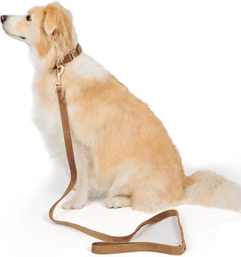 Miniatura 4 de Collar suave para perro con hebilla de metal, ajustable, duradero, cómodo, de pana de algodón, para perros grandes, medianos y pequeños, collares