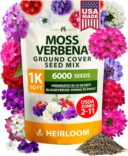 Miniatura 42 de HOME GROWN Semillas de tomate Beefsteak más de 300 semillas tradicionales sin OMG para plantar, alta germinación, indeterminado, tomate grande