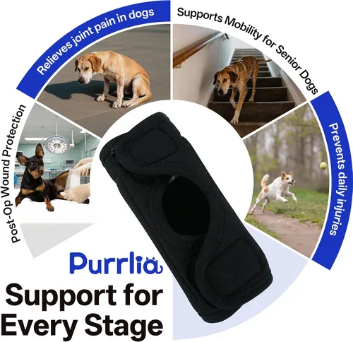 Miniatura 2 de Rodillera para perro para soporte de pierna trasera, soporte ajustable de compresión para piernas traseras débiles, desgarro de ACL y molestias