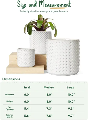 Miniatura 5 de LE TAUCI Macetas de cerámica para interiores, macetas de 10+8+6 pulgadas para plantas de interior, macetas para flores con puntos elevados