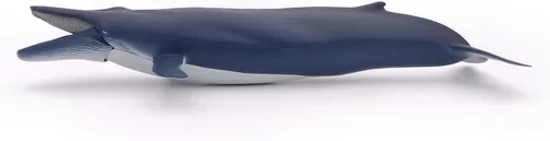 Miniatura 4 de Papo - Figura realista de ballena azul para niños - A partir de 3 años - Colección de vida marina - Juego educativo de mamíferos marinos - Juguete