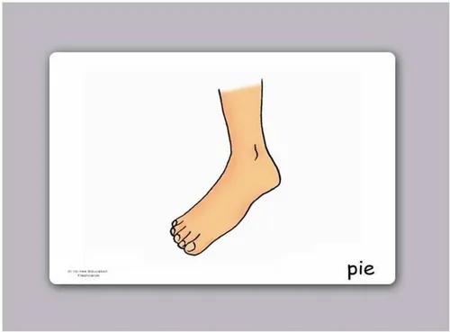 Miniatura 2 de Tarjetas de vocabulario -Partes del Cuerpo - Tarjetas de carrocería en español para niños pequeños de 2 a 4 años, niños y adultos