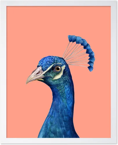 Miniatura 47 de Poster Master Vintage James Audubon Póster - Impresión Retro de Cuervo - Arte de Aves de América - Arte de Aves - Regalo para Hombres, Mujeres