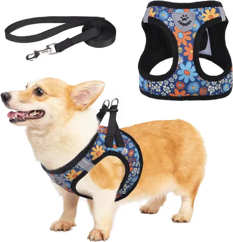 Miniatura 19 de Arnés de malla suave para cachorros – Juego de arnés y correa para perros pequeños, ajustable y cómodo chaleco reflectante acolchado para cachorros