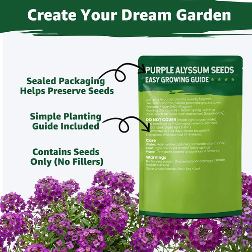 Miniatura 7 de Semillas de Alyssum para plantar, alfombra real morada, semillas de flores de Alyssum moradas dulces, semillas de cobertura del suelo perennes