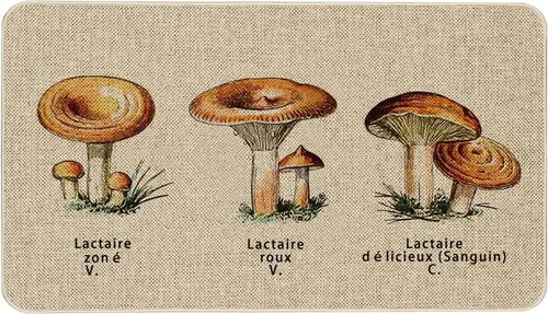 Miniatura 48 de Mloabuc® Tapete decorativo de flores, tapetes de cocina de arpillera de arpillera para mujer, accesorios de cocina para exteriores, 17 x 30 pulgadas
