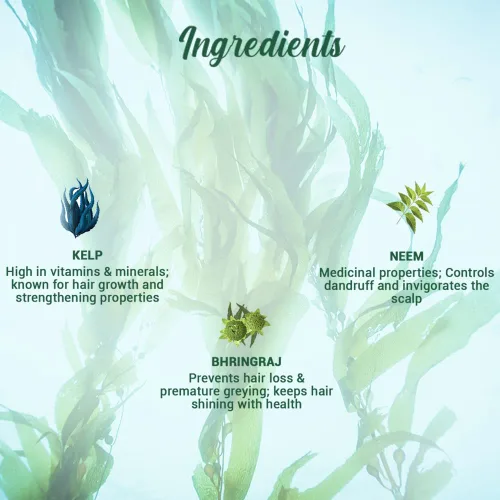 Miniatura 7 de Biotique Bio Kelp Protein Champú Para Cabello Caído, 6.4 fl oz