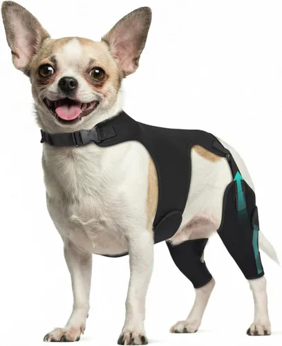 Rodilleras ajustables para patas de perro para pierna trasera, con 4 estabilizadores, ACL para reducir el dolor, lesiones de ligamentos y rótula