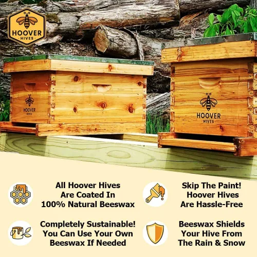 Miniatura 7 de Hoover Hives 8 marcos de colmena Langstroth sumergido en cera de abeja 100% incluye marcos de madera y bases enceradas