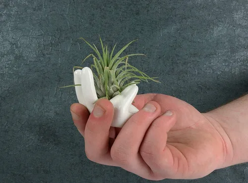 Miniatura 5 de 2 PCS Soporte para Plantas de Aire Lindo Soporte de Cerámica en Forma de Mini Mano Plantas de Aire Tillandsia Contenedor Pequeño Maceta Decoración