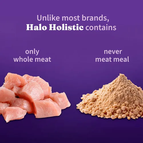 Miniatura 4 de Halo Holistic - Comida para perros con fórmula de pollo y arroz integral sin jaula de cereales saludables, salud digestiva completa, croquetas