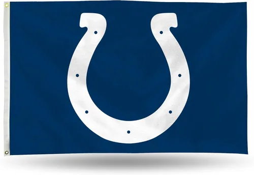 Miniatura 28 de NFL Rico Industries - Bandera estándar de 3 x 5 pies, de una cara, para interior o exterior, decoración del hogar