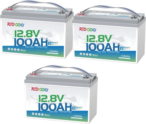 Miniatura 30 de Redodo Batería LiFePO4 de litio de 12 V 100 Ah, batería del grupo 31 integrada en BMS de 100 A, hasta 15000 ciclos, 10 años de vida útil, perfecta
